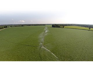 Property photo 24 - MICHIGAN LAND AUCTION, 1119 Acres offered in 17 Tracts